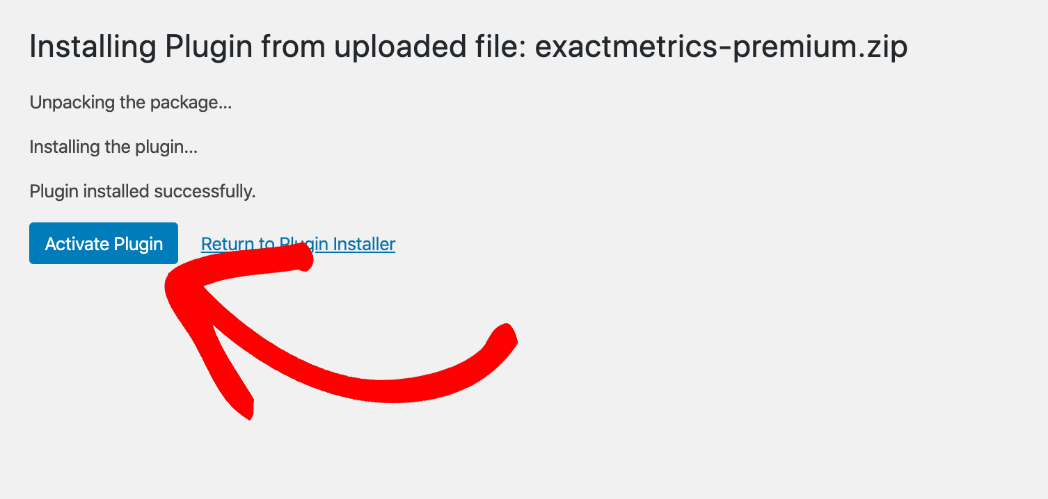 Activate Plugin ExactMetrics