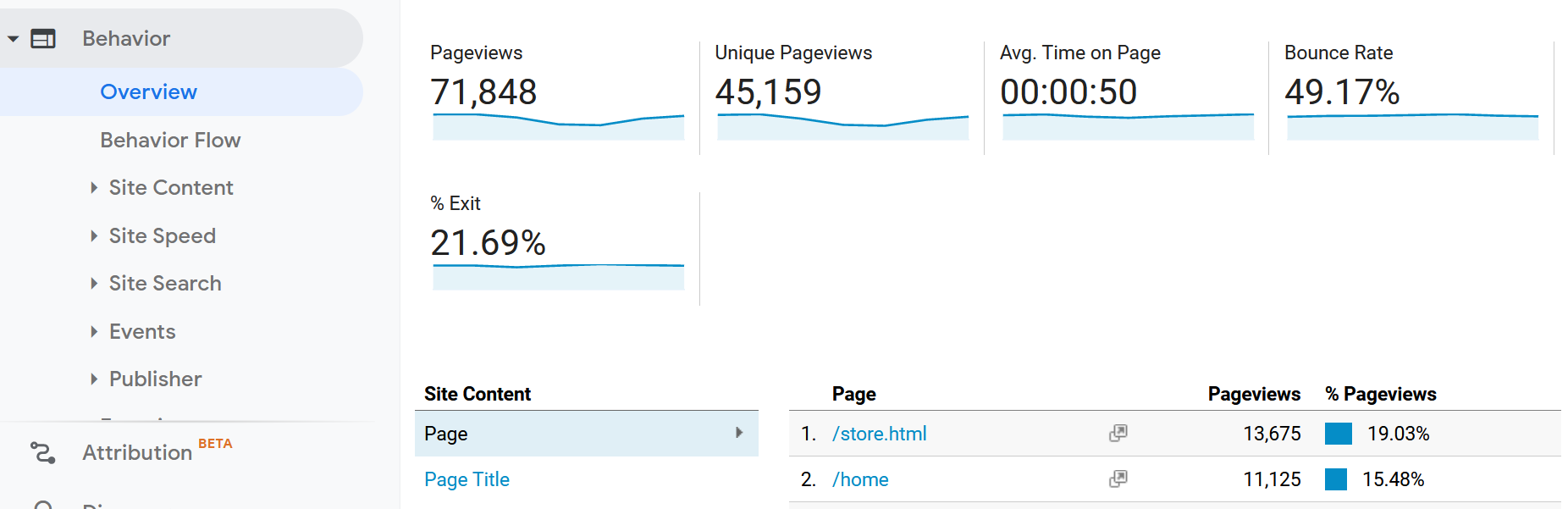 behavior report overview