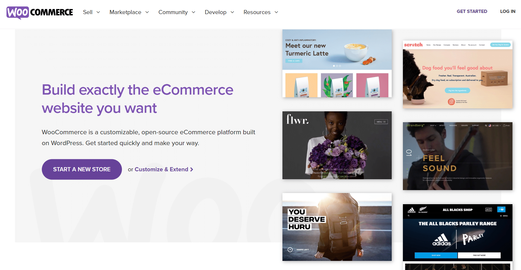 woocommerce best wordpress plugin for ecommerce