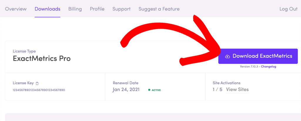 ExactMetrics Download Plugin File