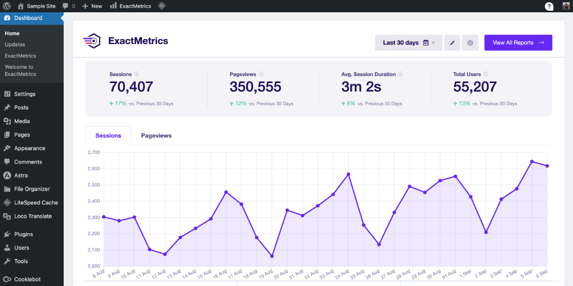 ExactMetrics dashboard overview