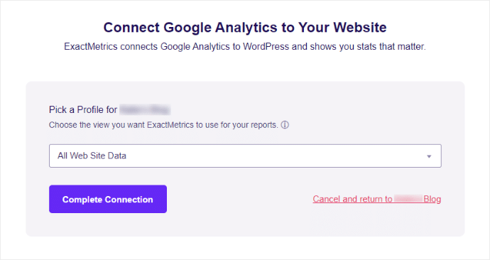 Connect Google Analytics