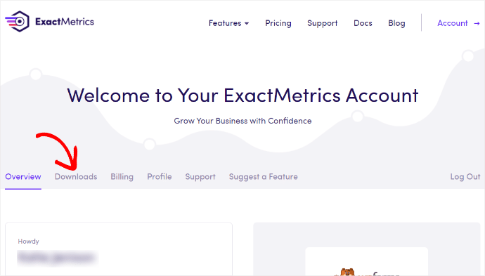 ExactMetrics Account Info