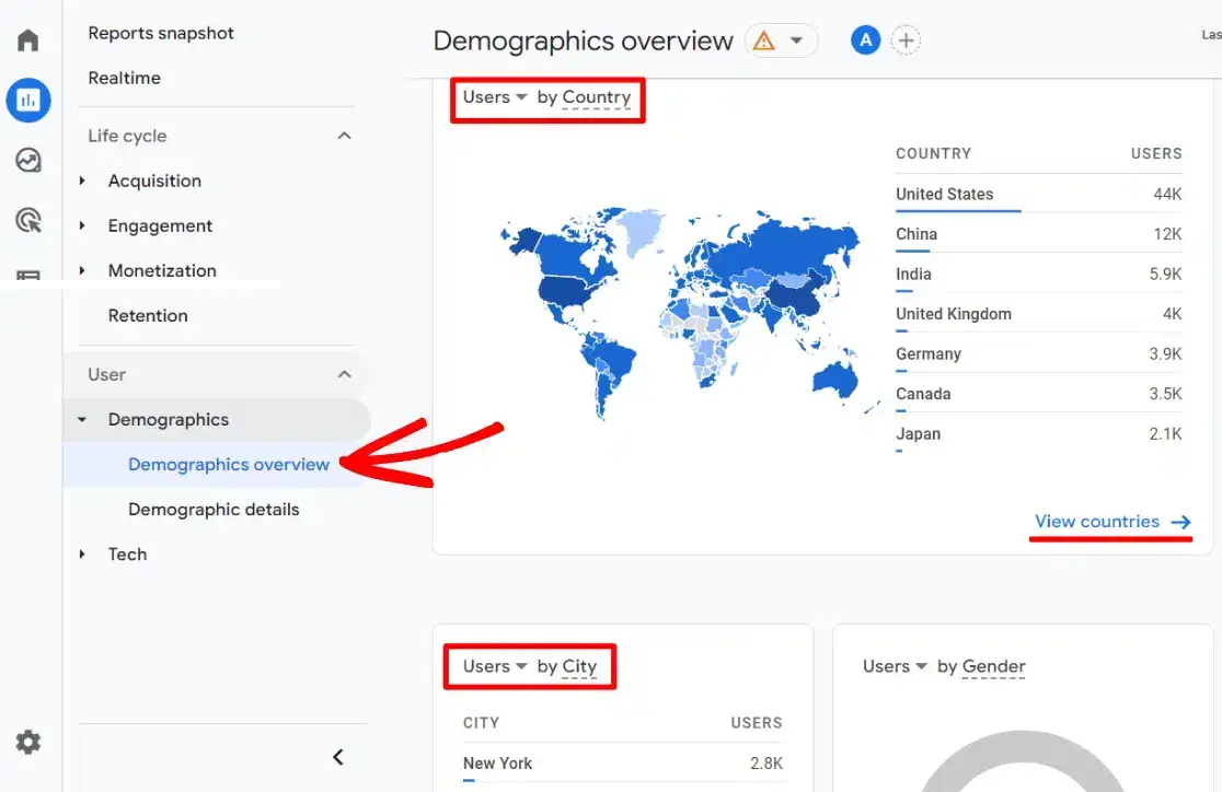 GA4 demographics overview