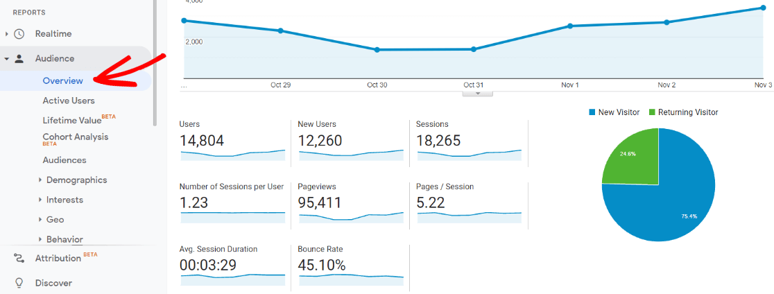 Audience Overview