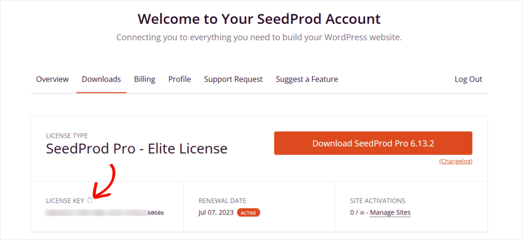SeedProd custom theme builder license key