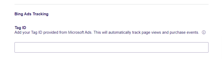 Set Up Microsoft Ads (Bing) Conversion Tracking in WordPress
