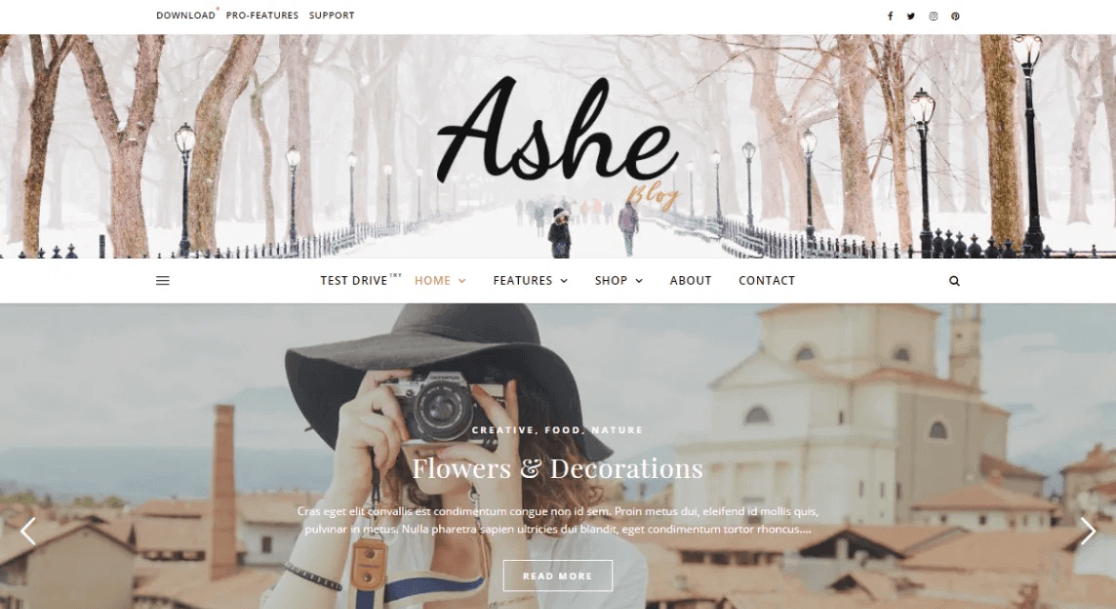 Ashe free WordPress theme blogs