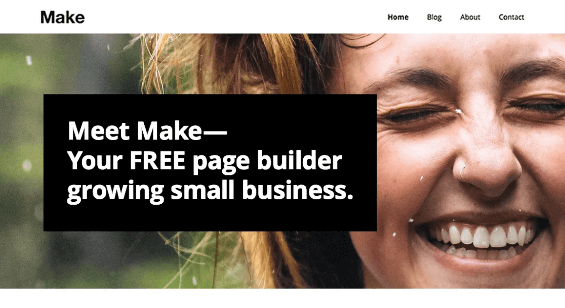 Make WordPress free theme