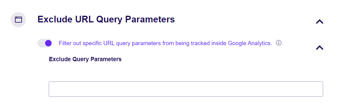 Exclude Query Parameters - ExactMetrics