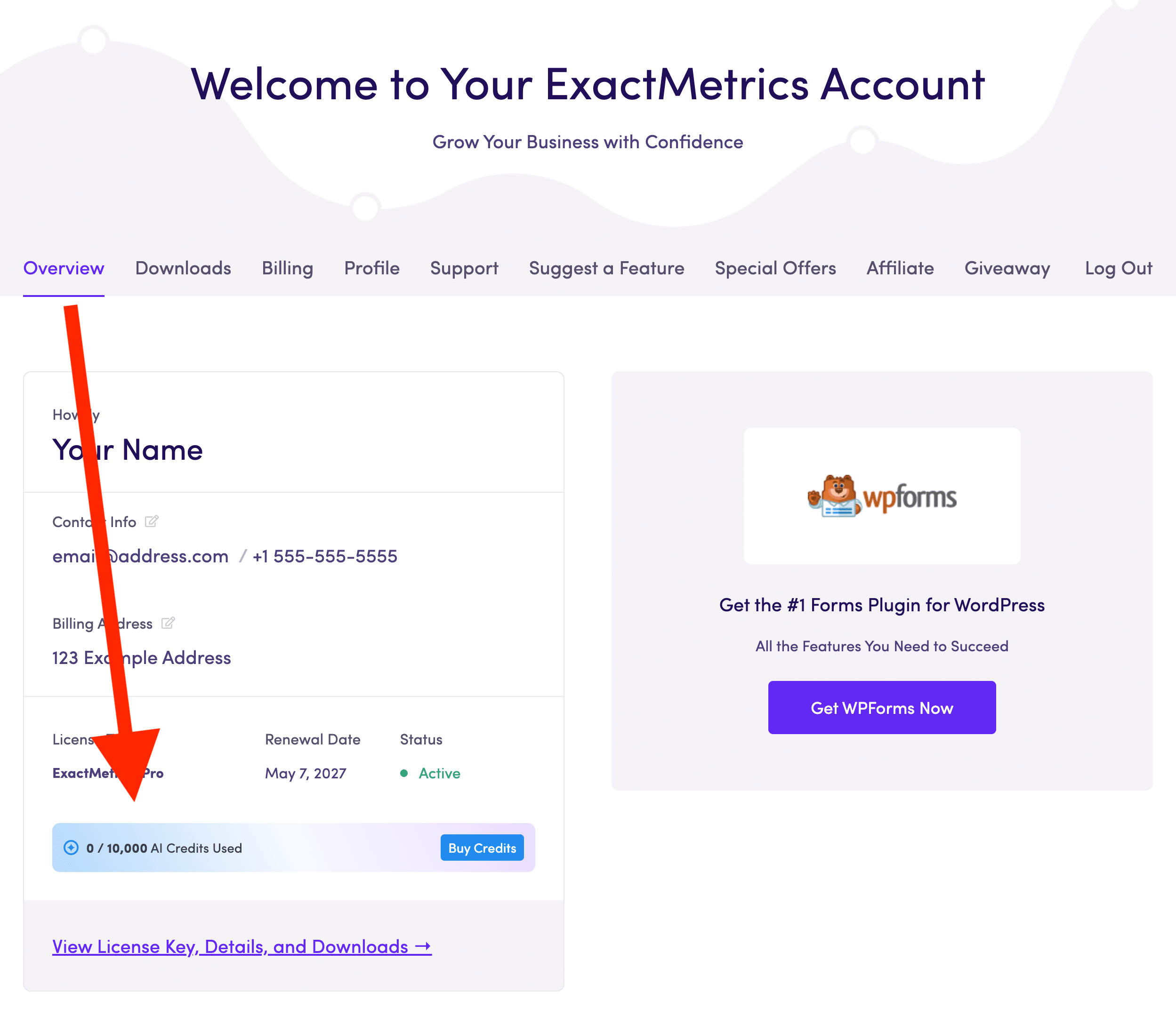 Your ExactMetrics account page showing the AI Credits Used indicator and Buy Credits button on the Overview tab
