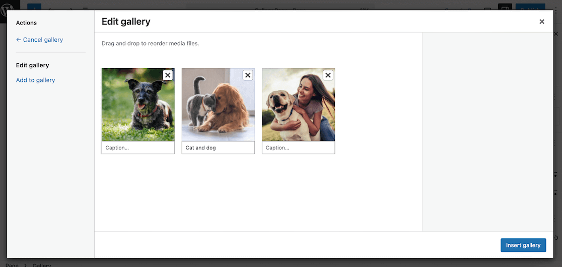 Gallery block Edit Gallery options