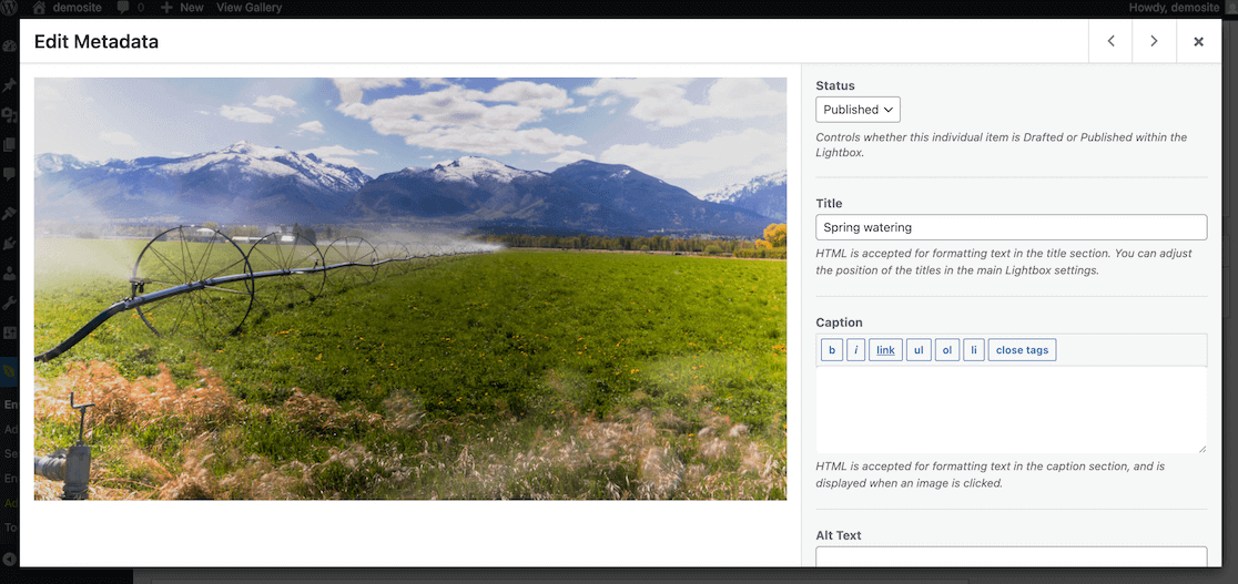 Edit Envira Image Metadata