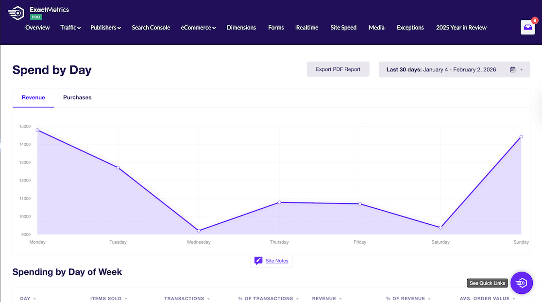 New spend by day report